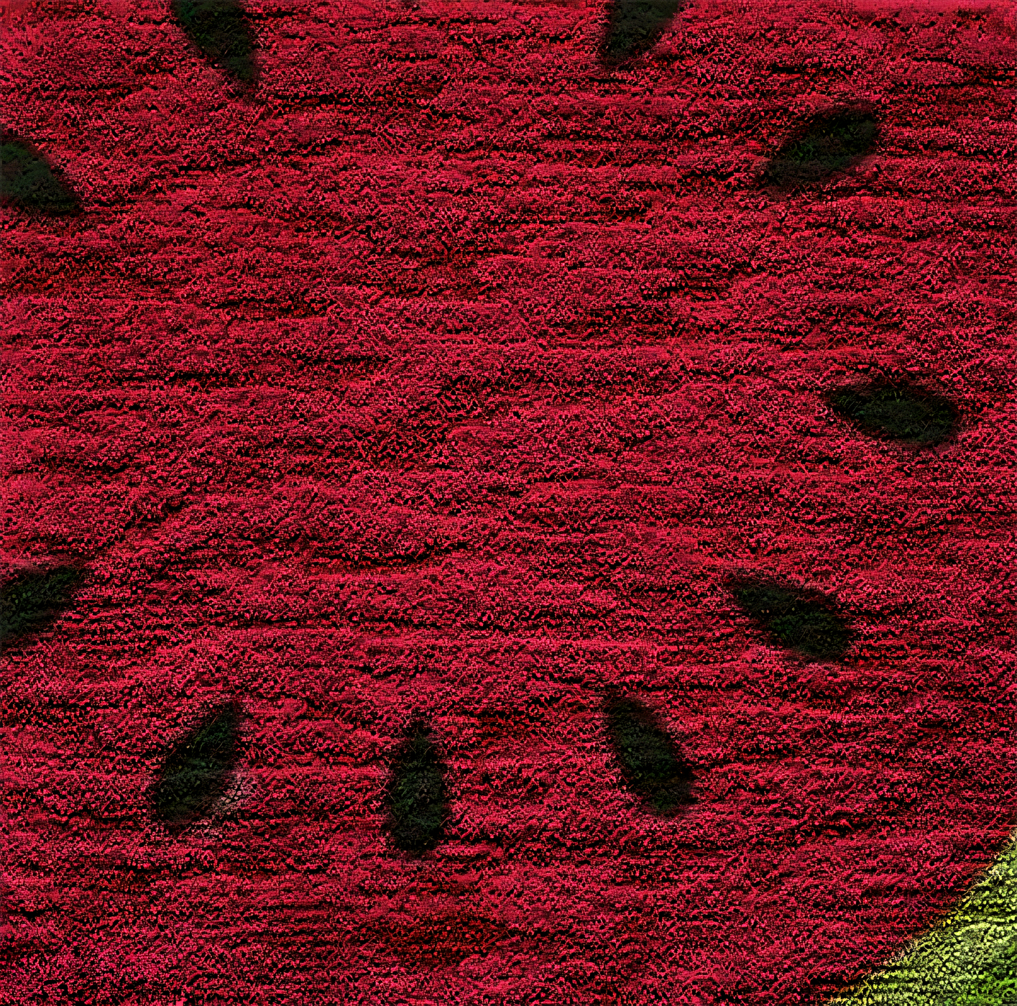 Juicy Watermelon Rug